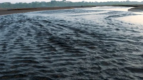 The River Amazon  - 150 fps Stock Footage 73166599