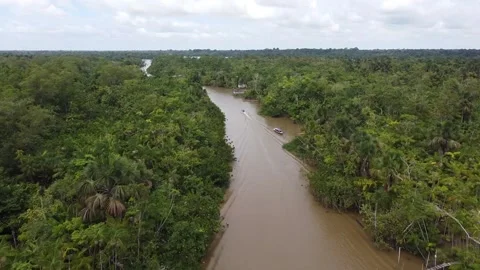 River in the amazon, Combu Belém do Pará Video stock 195100793
