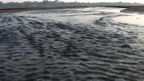 The River Amazon  Stock Footage 73166473