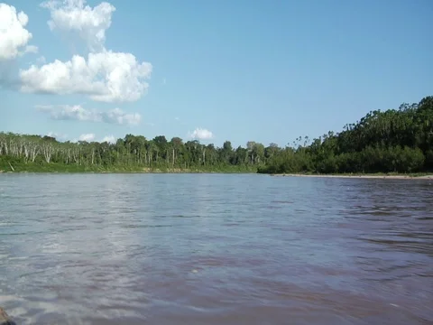 River in Amazon Jungle Rainforest Seen from Aboard Boat Stock Footage 112943807