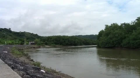 River in ammazzonica forest in ecuador Stock Footage 10860242