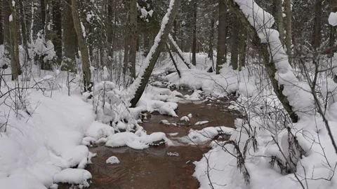 A river among coniferous trees and snow. A forest river on a winter day. A Stockbeeldmateriaal 329552949
