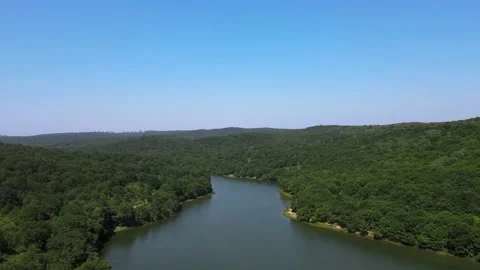 River among forest in nature Stock Footage 198058015