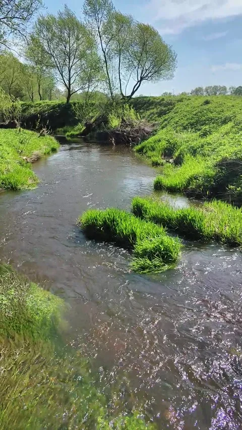 A river among meadows and fields, blue sky, summer 스톡 동영상 275901368
