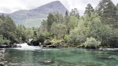 River among mountains and forests Stock Footage 317246260