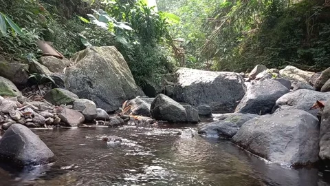 River Among Rocks and Stone With Nature Background 库存影片 244523751