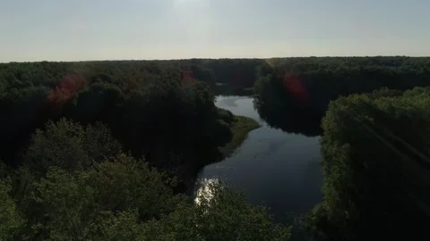 River  among the trees in Siberia Stock Footage 282783148