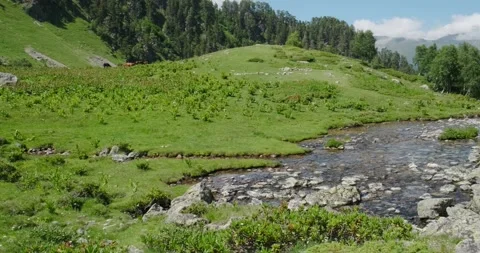 River and alpine meadows Video stock 136560226