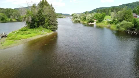 Up the river and around the island Stock Footage