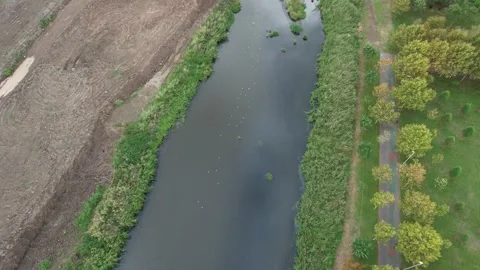 River and birds Stock Footage 219580182