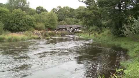 River and Bridge at Cenarth Falls 動画素材 66534860