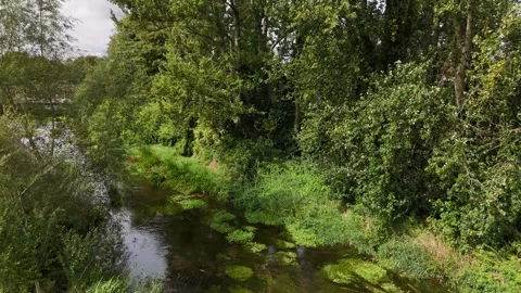 River and bridge in Durrow County Laois Ireland Stockbeeldmateriaal 333415036