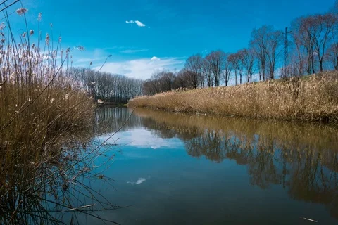 River and clouds Timelapse Video stock 87394317