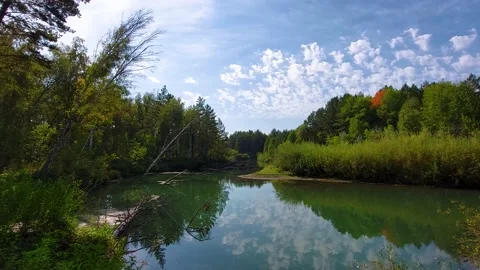 River and dense Siberian forests in summer somewhere in Siberia Stock-Footage 195822632