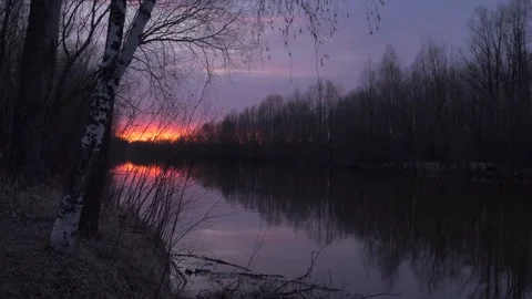 River and dry grass with trees on shore in sunset Stock Footage 283581720