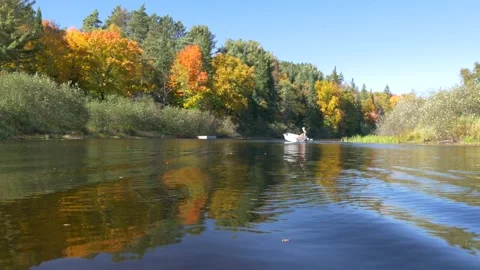 River and fall colors in Canada Stock Footage 159203679