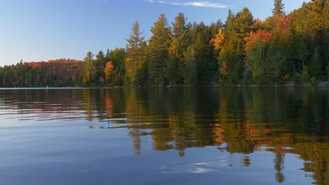 River and fall colors in Canada Stock Footage 159204001