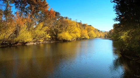River and fall trees Stock Footage 1038367