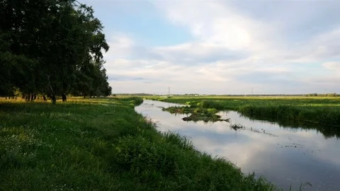 River and fields in the evening at sunset Stock Footage 78009054
