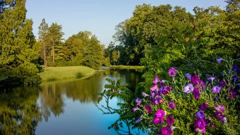 River and flower Stock Footage 127980201