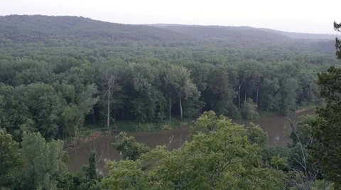 River and Forest 2 Stock Footage 43286699