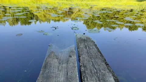 River and forest 3 Stock Footage 337518040