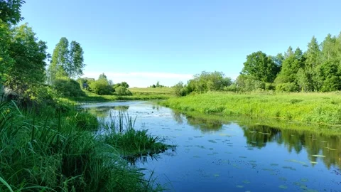 River and forest 5 Stock Footage 337518006