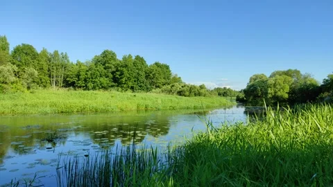 River and forest 7 Stock Footage 337581421