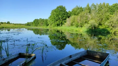 River and forest 8 Stock Footage 337581780