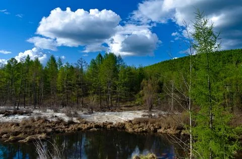 River and forest and clouds spring day Stock Photos