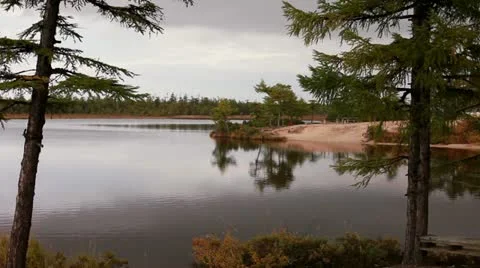 River and forest Video stock 22305734