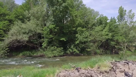 River and forest Stock Footage 76660144