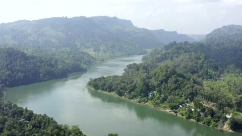 River and the forest  Stock Footage 133067031