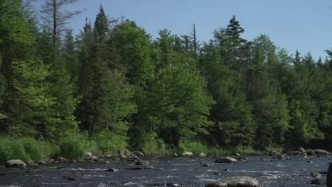 River and forest Stock Footage 171341438