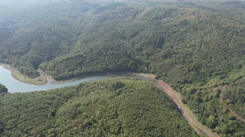 River and forest Stock Footage 206823986