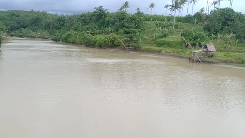 River and forest Stockbeeldmateriaal 226049439