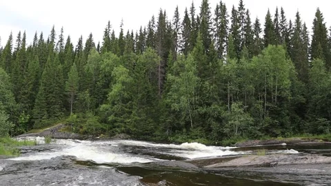 River and forest. Stock Footage 286252909