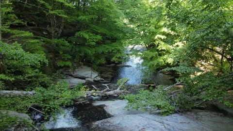 River And Forest Stock Footage 332047253