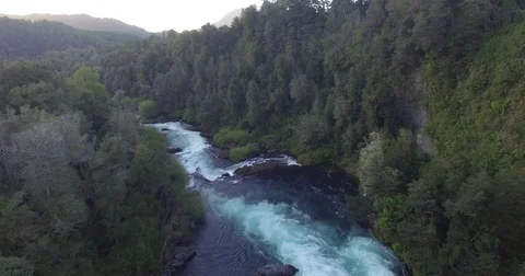 River and Forest at Huilo Huilo Park - Patagonia - Chile Stock Footage 78204870