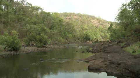 River and forest in India Video stock 111806029