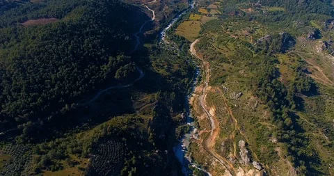 River and Forest Landscape From High Aerial View Stock Footage 130083750
