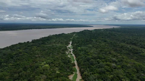 River and Forest Landscape Stretching to the Horizon in Amazon Basin Vídeos de archivo 334233627