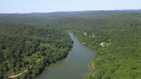 River and forest in nature Stock Footage 198060352
