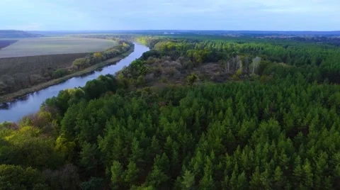 A river and a forest. Novomoskovsk Stock Footage 69099993