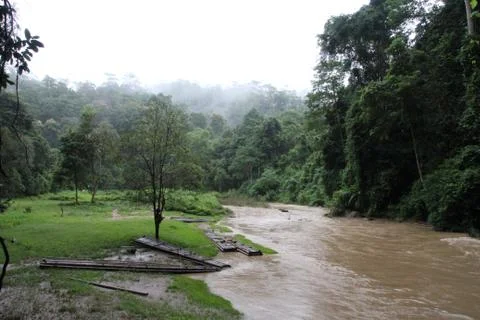 River and forest Stock Photos