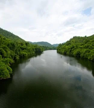 River and forest Stock Photos