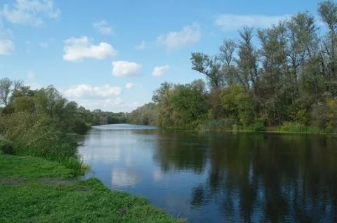 River and forest. Stock Photos