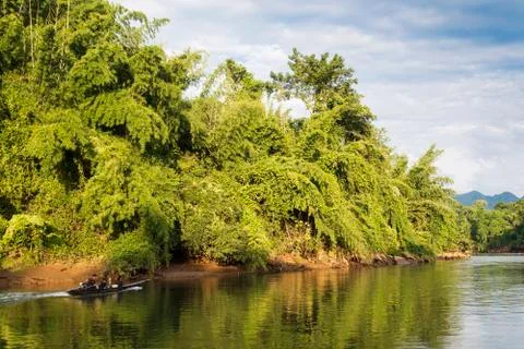 The river and forest. Stock Photos