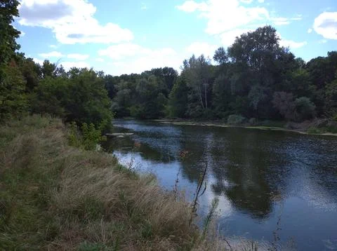 River and forest Stock Photos