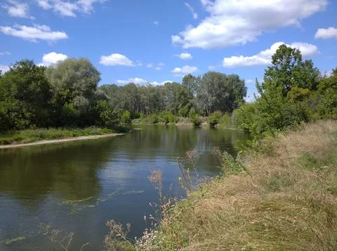 River and forest Stock Photos